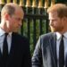 Harry parece desesperado, mas William não sentirá pena dele | Real | Notícias