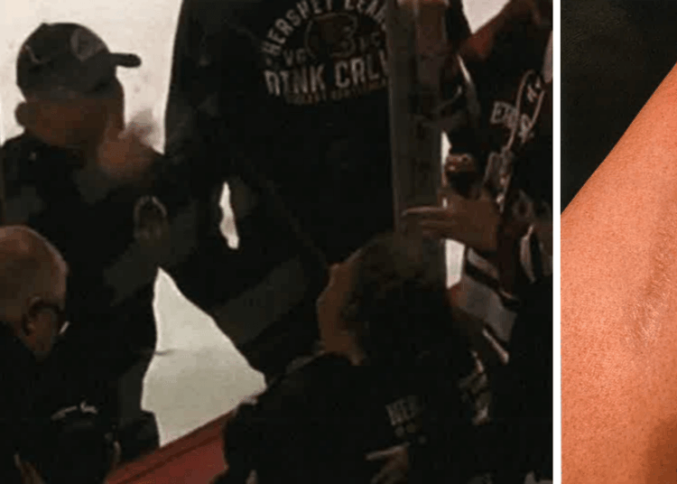 Hershey Entertainment nega responsabilidade pelos ferimentos da mulher no jogo Hershey Bears