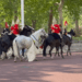 Inspeção do Major General: Cavalo solto causa caos perto do Palácio de Buckingham durante grande evento anual