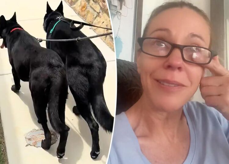 Kate Gosselin desaba com a 'tensão' de adotar um cão de resgate no choroso TikTok