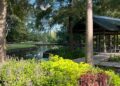 Música e motores, Tai Chi: 4 eventos na área do Lago Houston para participar neste fim de semana, de 8 a 10 de maio