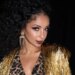 Mya em nova música, se apresentando após o cancelamento da turnê das Pussycat Dolls