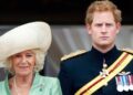 O golpe cruel do Príncipe Harry contra a Rainha Camilla com um apelido de duas palavras | Real | Notícias