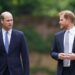 O novo assessor do rei Charles espera ‘bater as cabeças de William e Harry’ | Real | Notícias