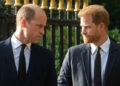 O príncipe Harry se sentia 'o segundo depois de William' muito antes de Royal Fallout, afirma o autor