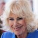O retorno ‘incrivelmente normal’ da Rainha Camilla para casa após visita aos EUA – Celebrity News – Entretenimento