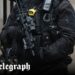 Oficiais de proteção real investigados por ‘adormecer no trabalho’ no Castelo de Windsor