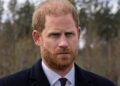 PESQUISA: O príncipe Harry deveria retornar à realeza? | Real | Notícias