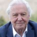 Príncipe Harry chama Sir David Attenborough de ‘santo secular’ | Real | Notícias