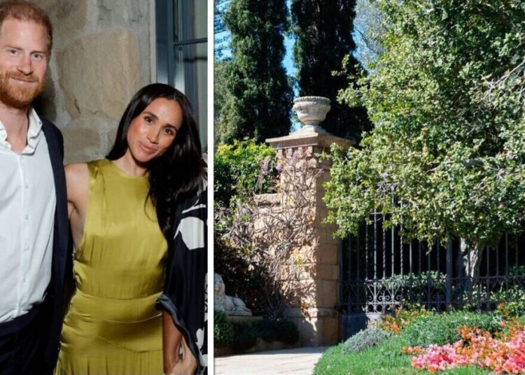 Príncipe Harry e Meghan Markle são considerados 'motivo de chacota' – Celebrity News – Entretenimento
