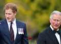 Príncipe Harry emitiu um aviso severo ao Rei Charles – 'Não vai bem' | Real | Notícias