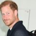 Príncipe Harry fotografado em restaurante chique dias após o desprezo do Rei Charles | Real | Notícias