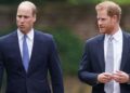 Príncipe William adverte Príncipe Harry contra 'golpes' - Fonte