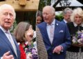 Royal family marks debut of ‘hidden’ member at special event