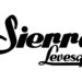 SIERRA LEVESQUE LANÇA NOVO SINGLE AGRESSIVO E MÚSICA VÍDEO “UNDERMINED”