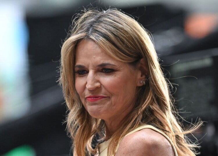Savannah Guthrie atacada por mudança de carreira em meio à busca por mães – Celebrity News – Entretenimento