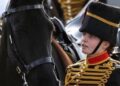 Soldado que morreu de queda no Royal Windsor Horse Show com a presença de King é nomeado