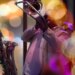 Some music genres are getting simpler, new research shows