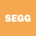 Sports Entertainment Gaming Global atrasa o primeiro trimestre de 2026 10-Q | Arquivamento SEGG SEC
