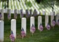 Tópico aberto do Memorial Day | Revisão da realeza