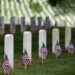 Tópico aberto do Memorial Day | Revisão da realeza