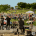 Where the River Listens: Música e comunidade crescem com novas séries musicais…