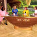 Whoopi Goldberg explica por que ela saiu do “The View” segurando uma vassoura e varrendo o palco