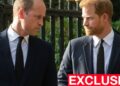 William ‘irritado’ quando Harry diz que estava ‘preso’ como membro da realeza – Celebrity News – Entretenimento