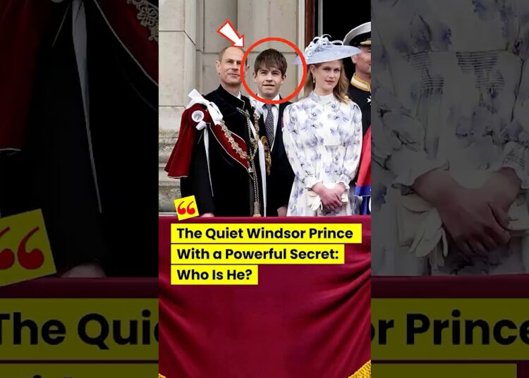 The hidden prince #royal #britishroyalfamily #princesscatherine #charlotte #shorts