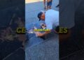 celebridades que foram mais vandalizadas na calçada da fama de hollywood: