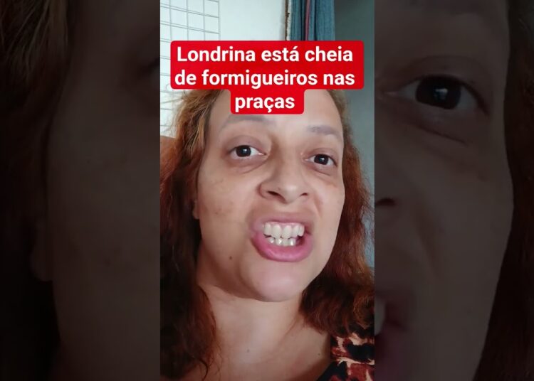 Fofocas de Família #fofocas #mãe #familia #crianças #londrina