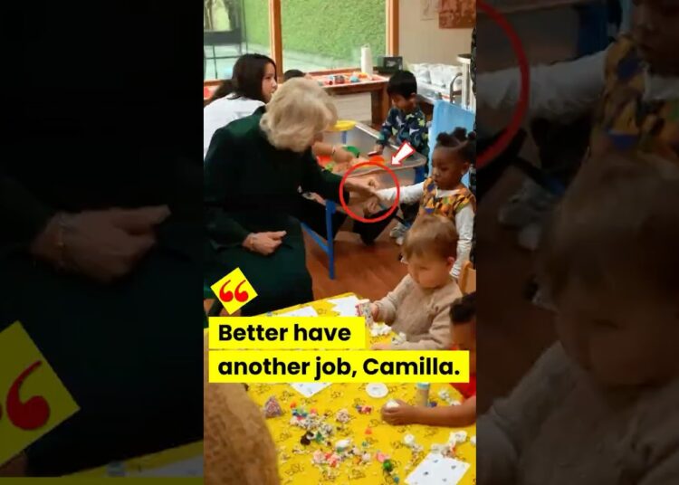 better find a new job, Camilla  #royal #camilla #princewilliam  #princesscatherine