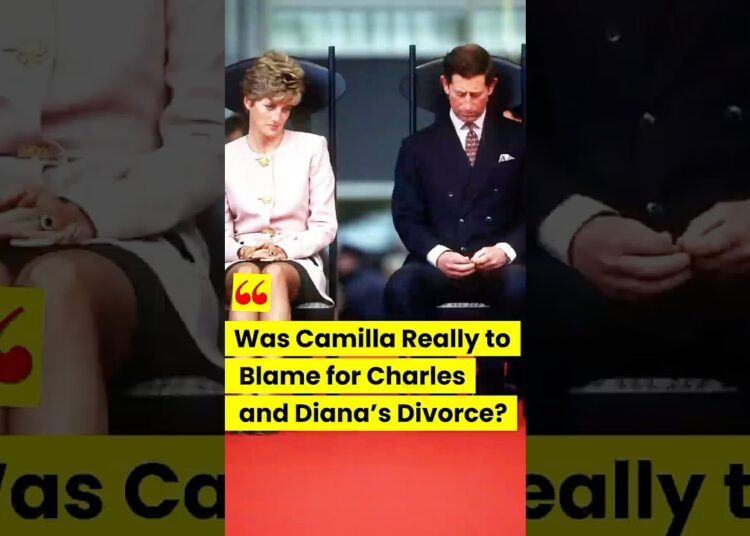 #camilla is not the only cause #royal #diana #kingcharles #britishroyalfamily #shorts