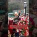 Ninguém quer trabalhar no rancho de Dolly Parton? #brasil #celebridades #star