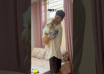 Um dia comigo tirando a realeza da cama pra limpar o meu vômito que acabei vomitando #pet #pets