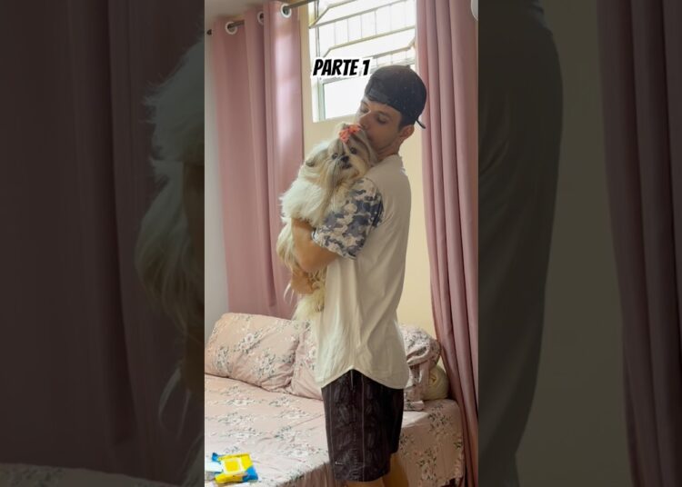 Um dia comigo tirando a realeza da cama pra limpar o meu vômito que acabei vomitando #pet #pets