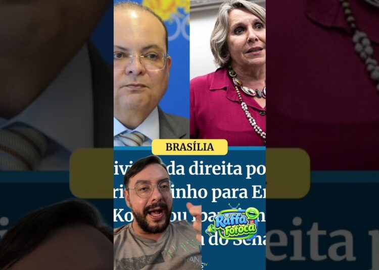 A DISPUTA PELO SENADO COMEÇOU #raffafofoca #noticiasmundiais #noticias #fofoca