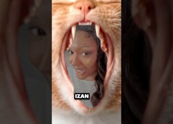 3 PAIS FAMOSOS QUE CRIAM SEUS FILHOS SOZINHOS. #famosos #filhos #pais #curiosidades
