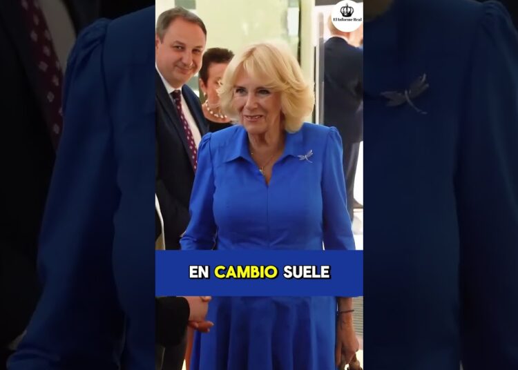 Una sola acción de Ana convirtió a Camila en el hazmerreír #princesaana #reinacamilla #fyp #realeza