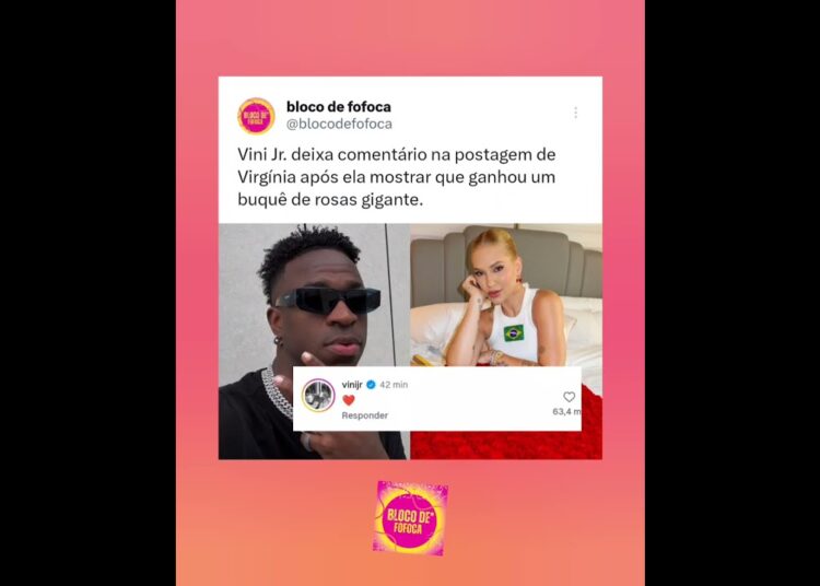 #vinijr . deixa comentário na postagem de #virginia  após ela mostrar que ganhou um buquê de rosas.