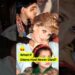 What If Princess Diana Had Never Died? ⭐ #royal #camilla #diana #queenelizabeth #princewilliam