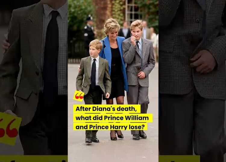 After Diana’s death, what did Prince William and Prince Harry lose? #royal #royalfamily