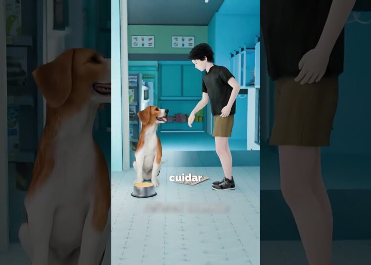 ESSE CACHORRO DE RUA VIROU PARTE DA REALEZA 🐶👑 #curiosidades #amazing #cachorro