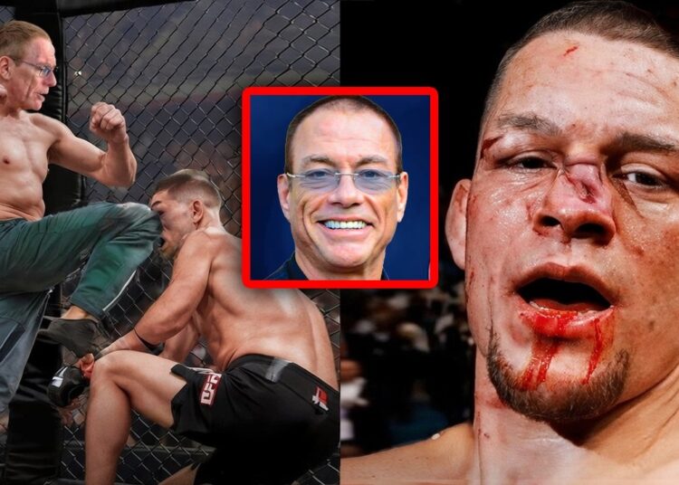 Lutadores Do UFC Que Brigaram De Verdade Com Celebridades