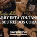HARRY & MEGHAN AVISAm seu RETORNO à MONARQUIA: Comentaristas de Realeza Fazem Coro Nesta Narrativa