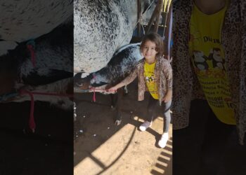 princesinha com a filha realeza, comeu quimera de milho mofada e morreu julho/2025
