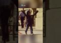 Así Se Hizo Famosa Jenna Ortega | De Desconocida a Estrella ✨
