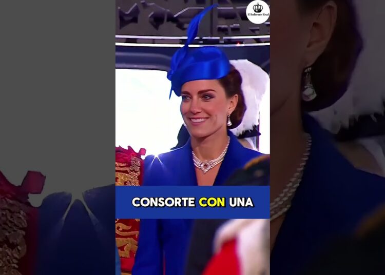 Sucesor de la princesa Ana #princesaana #princesazara #reinacamilla #realeza