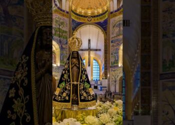 Coroa dourada, sinal de sua realeza como Mãe de Jesus.Mãos unidas em oração,