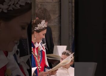 The People’s Princess #Kate  #royal #shorts